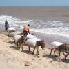 21st Century Transportation near Thoothukudi
